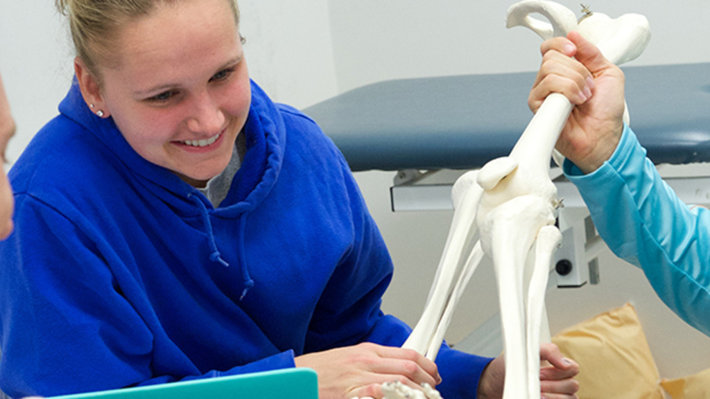 Combined DPT/PhD education