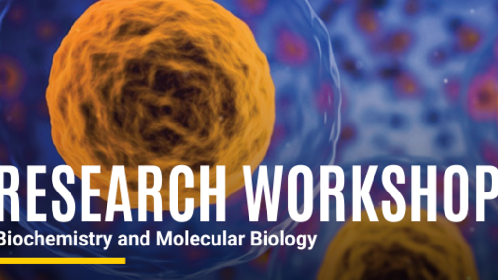 BMB Research Workshop promotional image