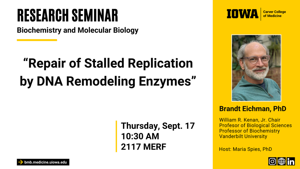 Biochemistry Seminar: "Repair of Stalled Replication by DNA Remodeling Enzymes" promotional image
